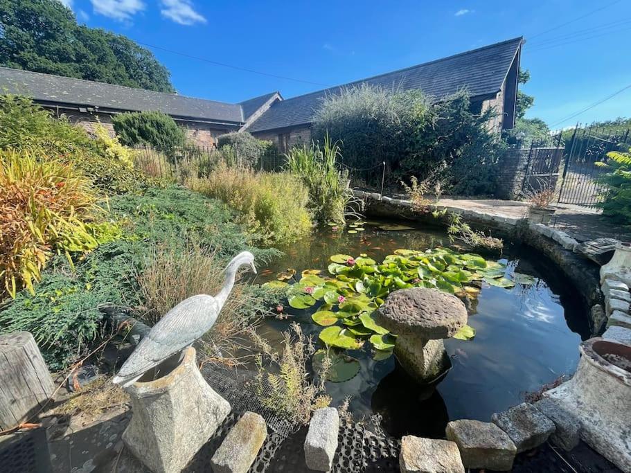 Stone Built Barn In A Beautiful Rural Setting Villa Llangwm-Isaf Exteriör bild